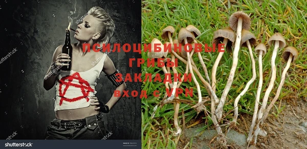 кокс Абаза