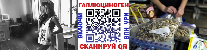Псилоцибиновые грибы Psilocybine cubensis  блэк спрут зеркало  Юрга 